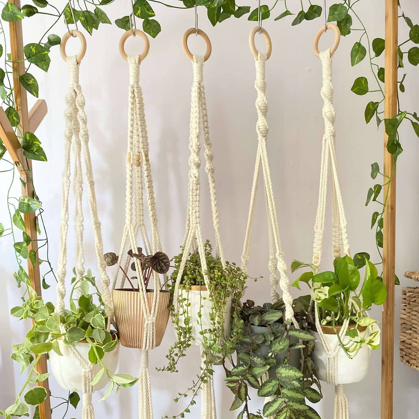 Plant hangers